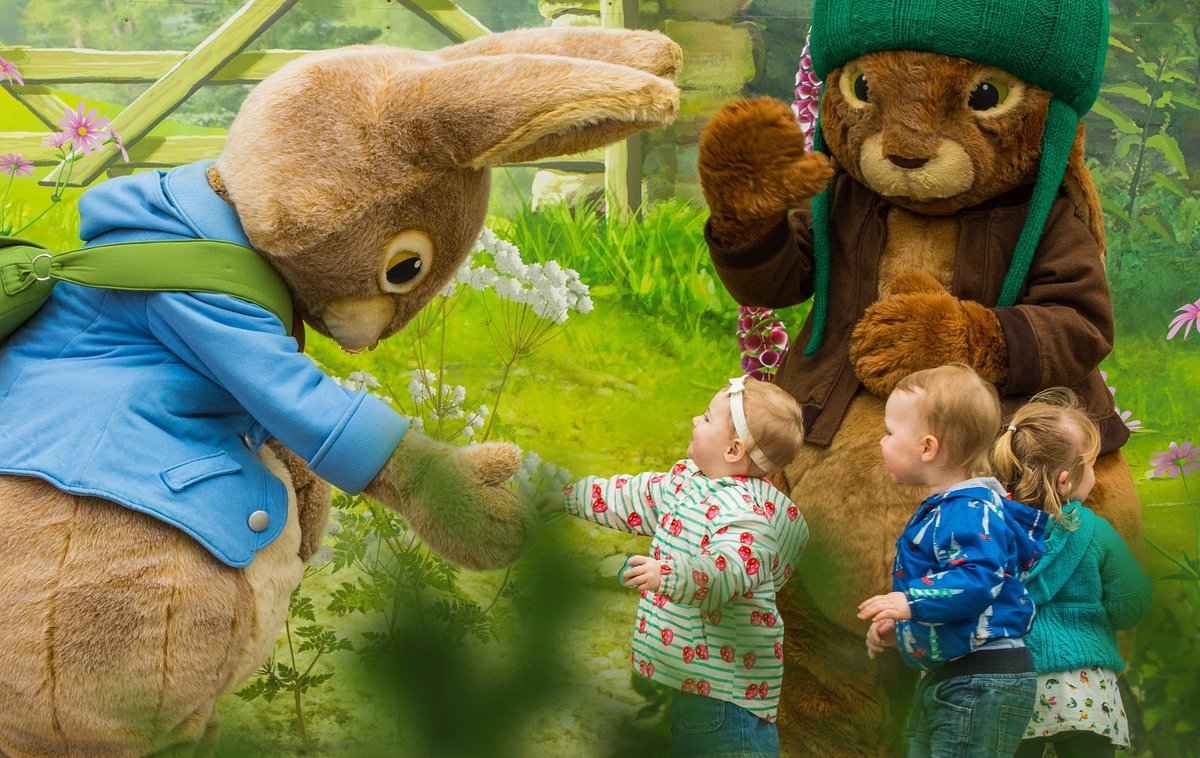 🎈 윌로스 활동 농장(윌로스 액티비티 팜)